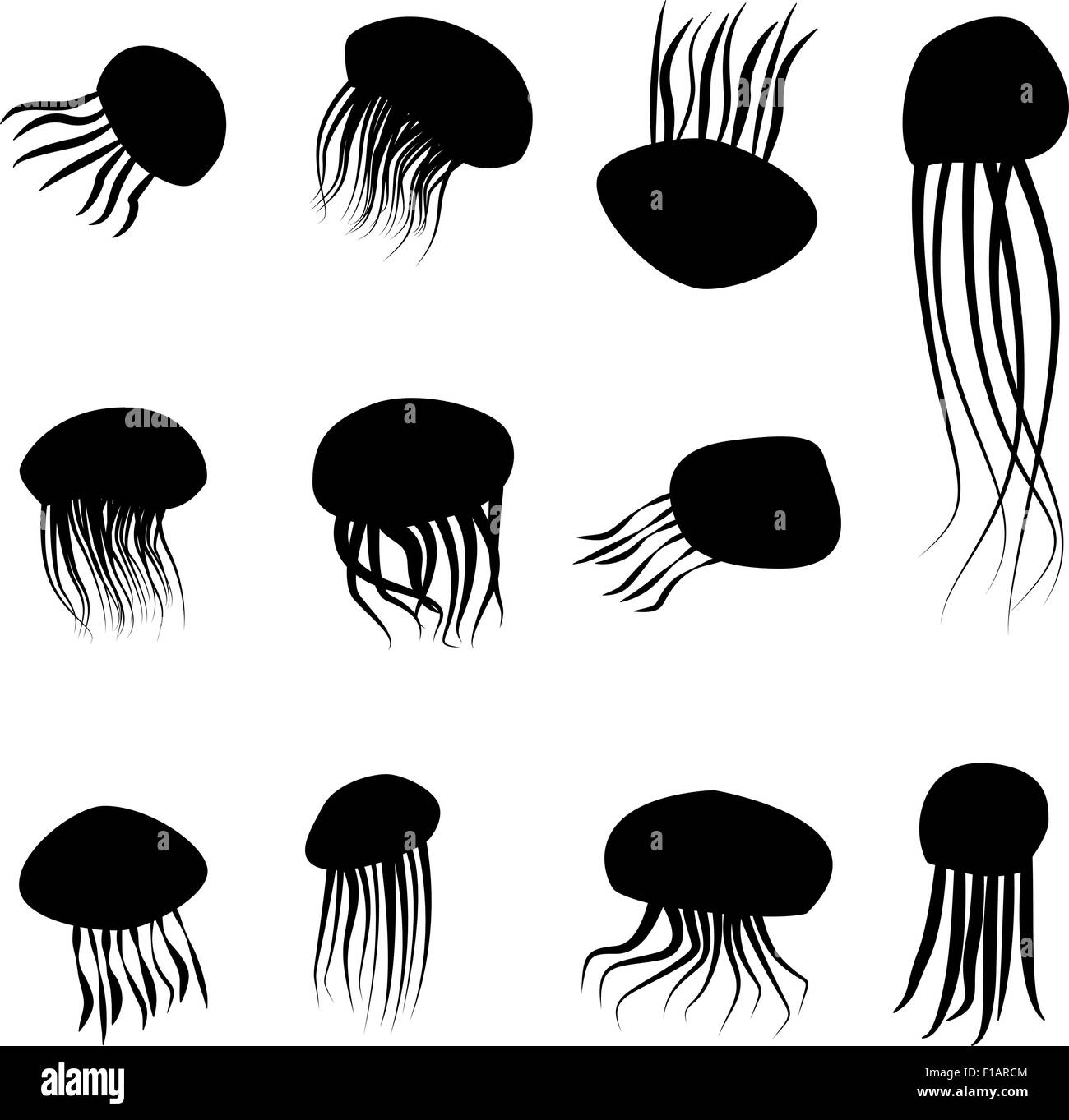 Detail Jellyfish Silhouette Vector Nomer 33