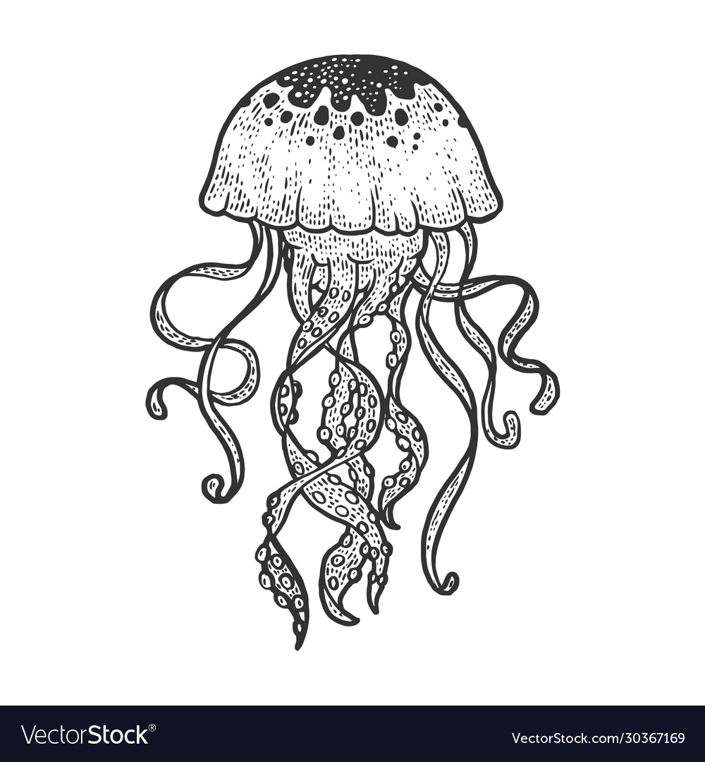Detail Jellyfish Silhouette Vector Nomer 37