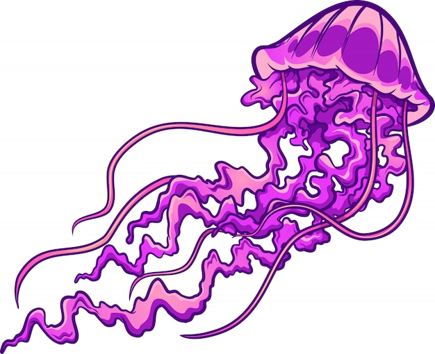 Detail Jellyfish Silhouette Vector Nomer 41