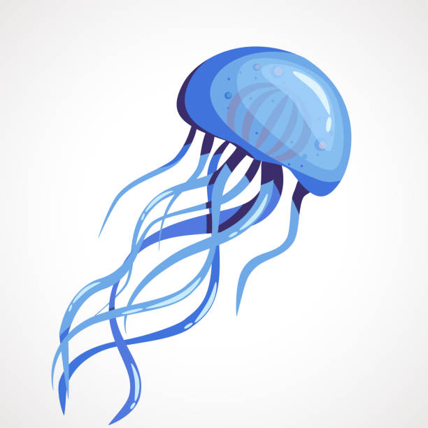 Detail Jellyfish Silhouette Vector Nomer 42