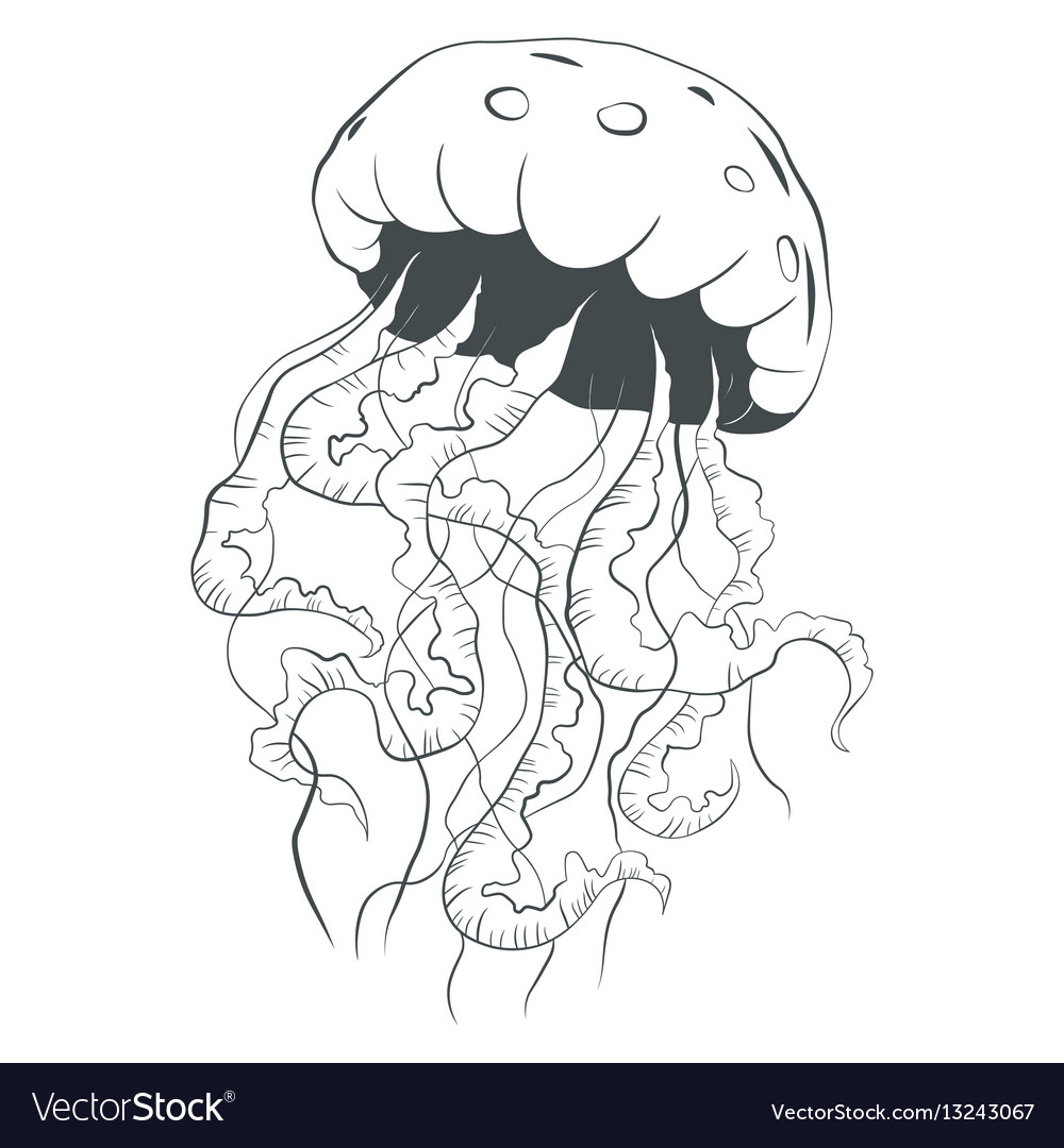Detail Jellyfish Silhouette Vector Nomer 45