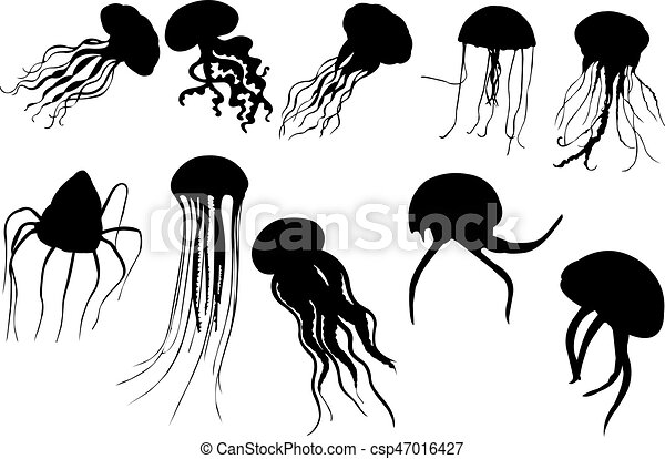Detail Jellyfish Silhouette Vector Nomer 6
