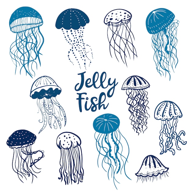Download Jellyfish Silhouette Vector Nomer 56