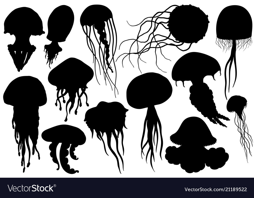 Detail Jellyfish Silhouette Vector Nomer 7