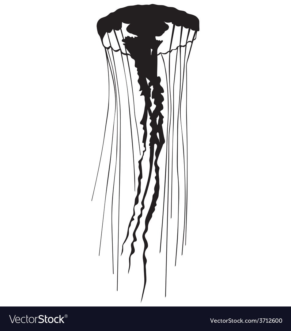 Detail Jellyfish Silhouette Vector Nomer 8