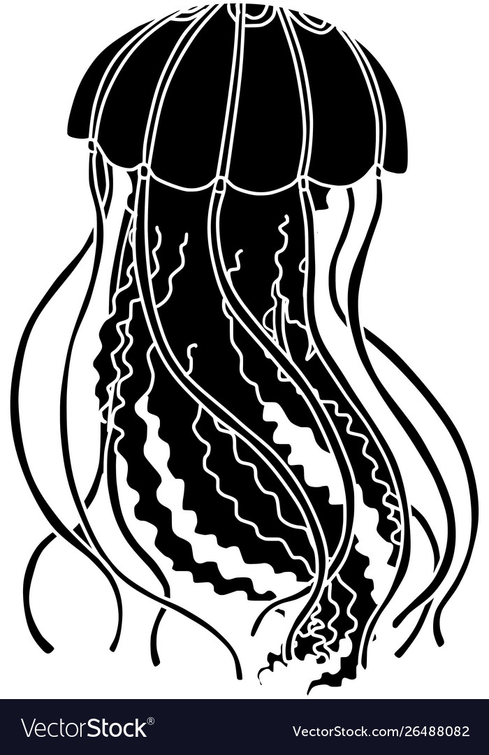 Detail Jellyfish Silhouette Vector Nomer 10