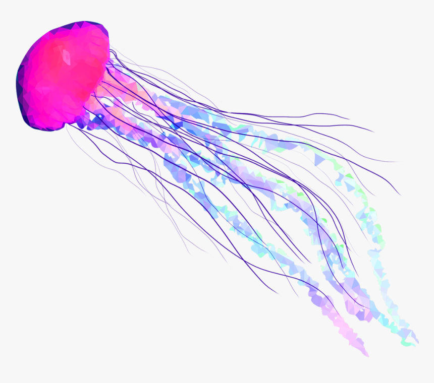 Detail Jellyfish Transparent Background Nomer 2