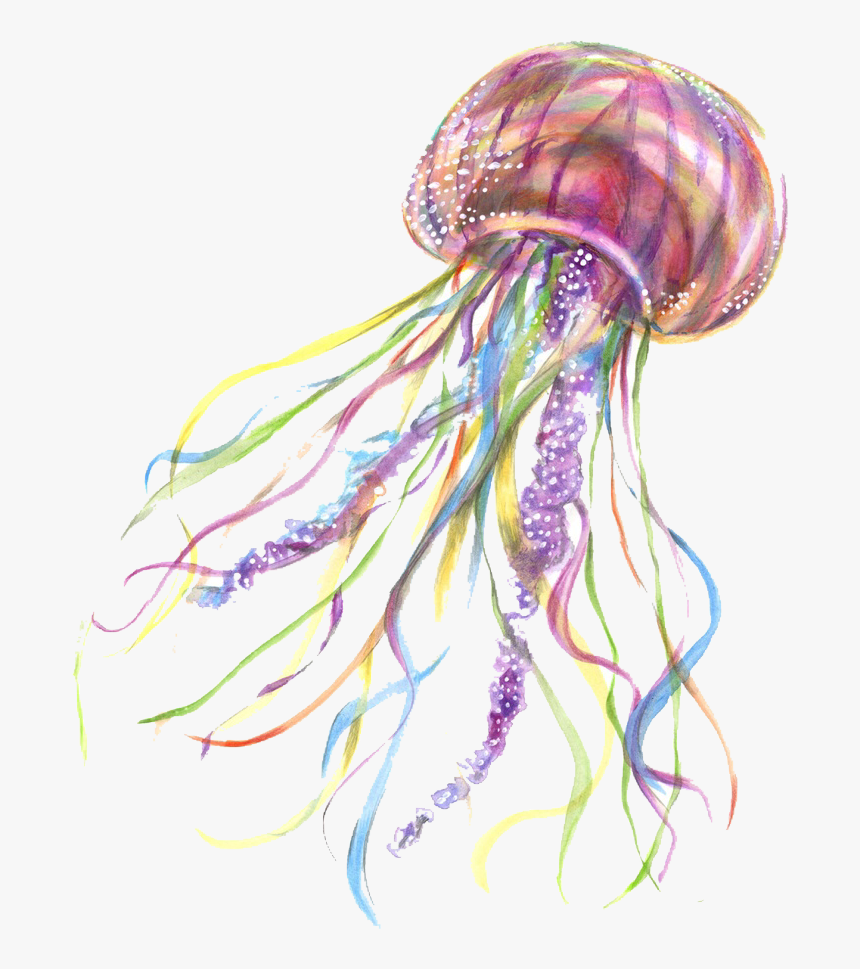 Detail Jellyfish Transparent Background Nomer 16