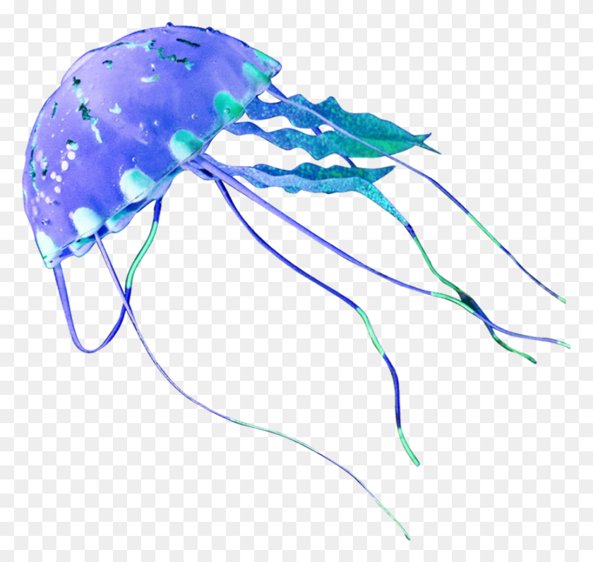 Detail Jellyfish Transparent Background Nomer 27