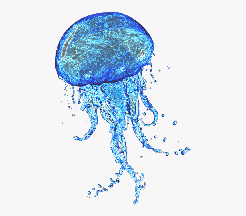 Detail Jellyfish Transparent Background Nomer 4