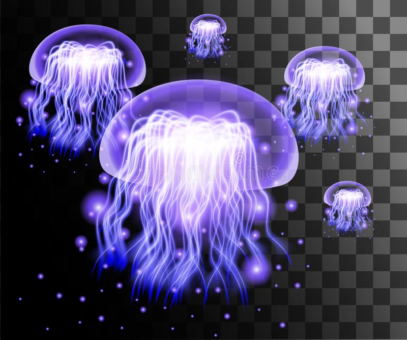 Detail Jellyfish Transparent Background Nomer 28