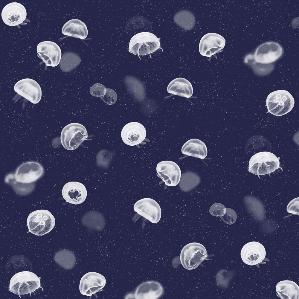 Detail Jellyfish Wallpaper Nomer 23
