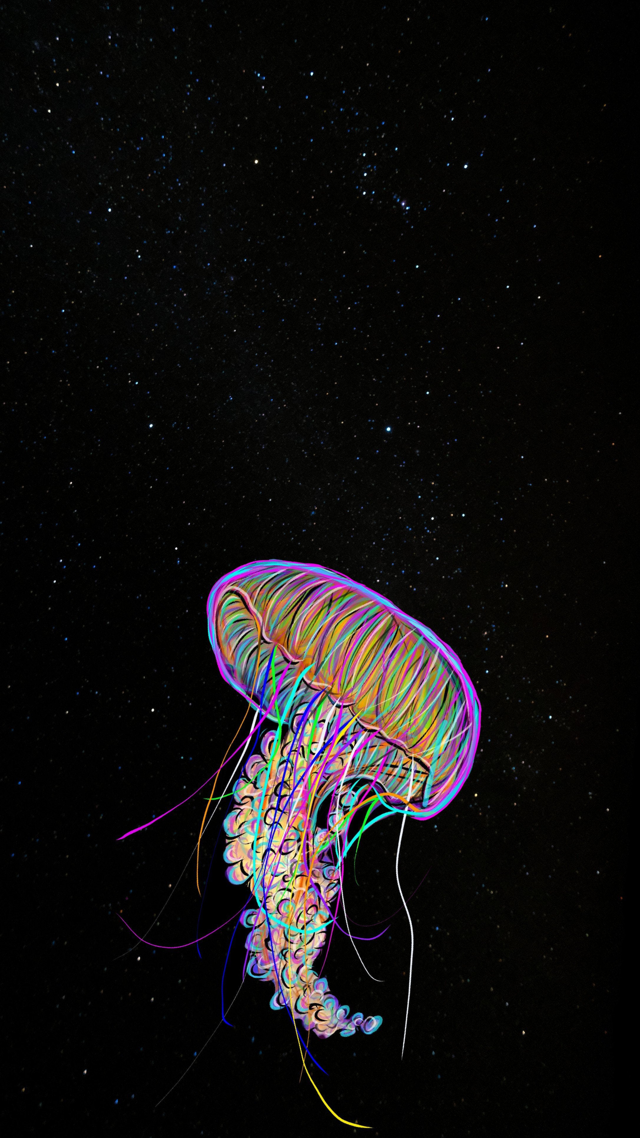 Detail Jellyfish Wallpaper Nomer 24