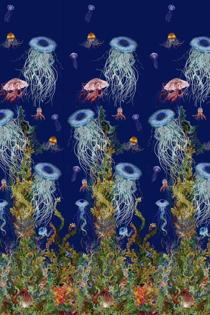Detail Jellyfish Wallpaper Nomer 51