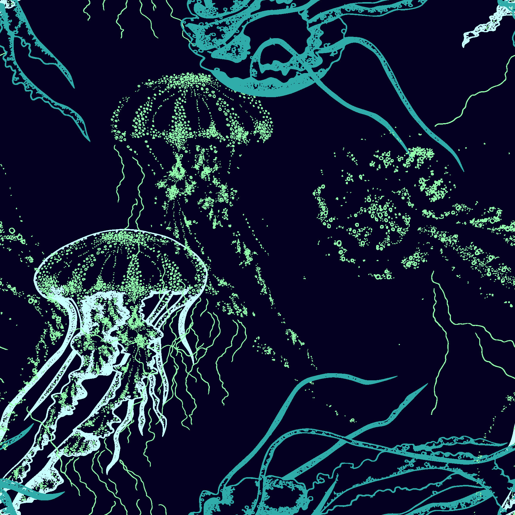 Detail Jellyfish Wallpapers Nomer 38