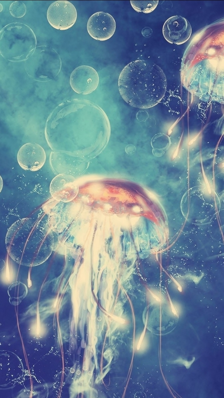 Detail Jellyfish Wallpapers Nomer 39