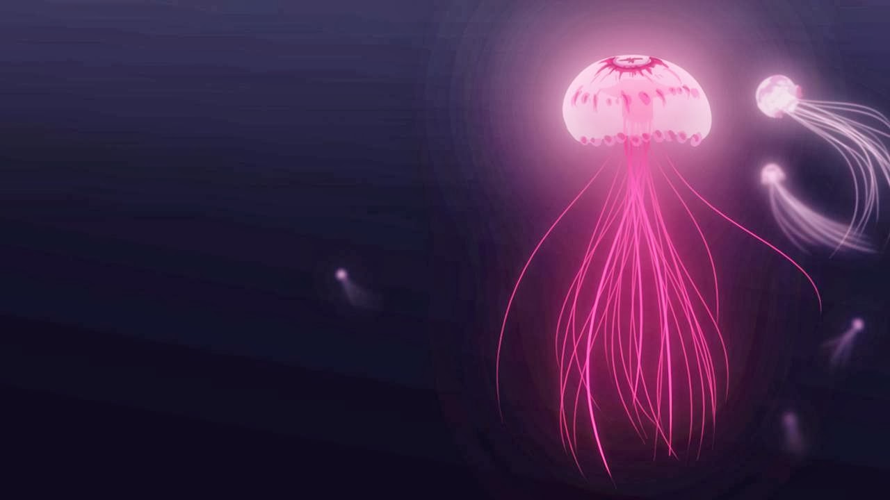 Detail Jellyfish Wallpapers Nomer 47