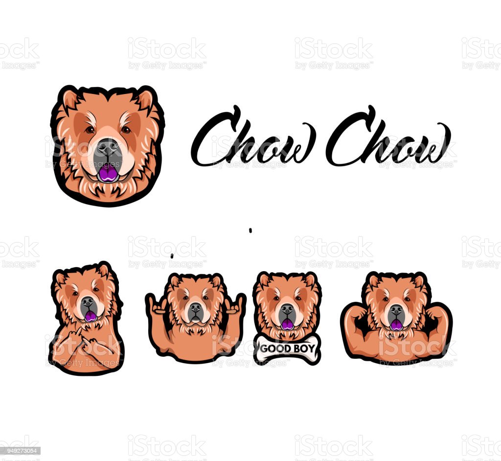 Detail Jenis Anjing Chow Chow Nomer 45