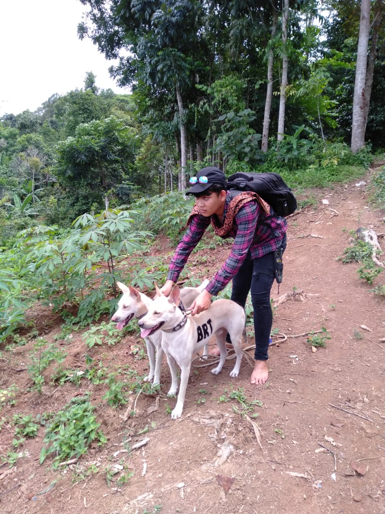 Detail Jenis Anjing Pemburu Nomer 24