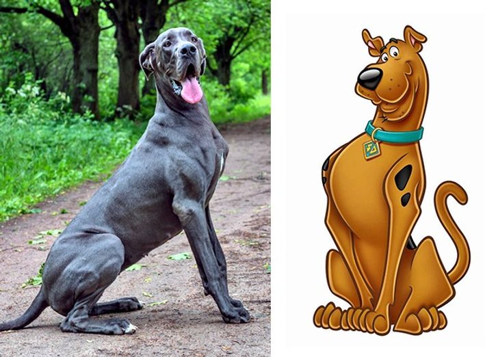 Detail Jenis Anjing Scooby Doo Nomer 35