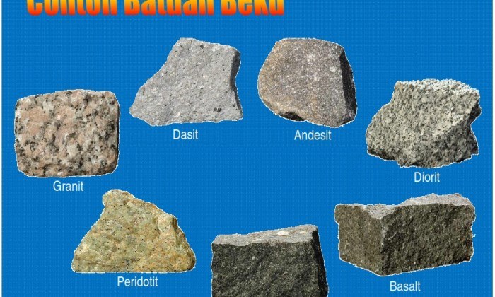 Detail Jenis Batuan Sedimen Dan Gambarnya Nomer 21