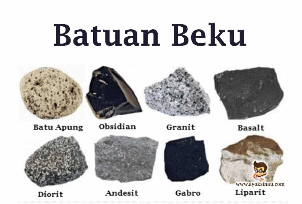 Detail Jenis Batuan Sedimen Dan Gambarnya Nomer 49