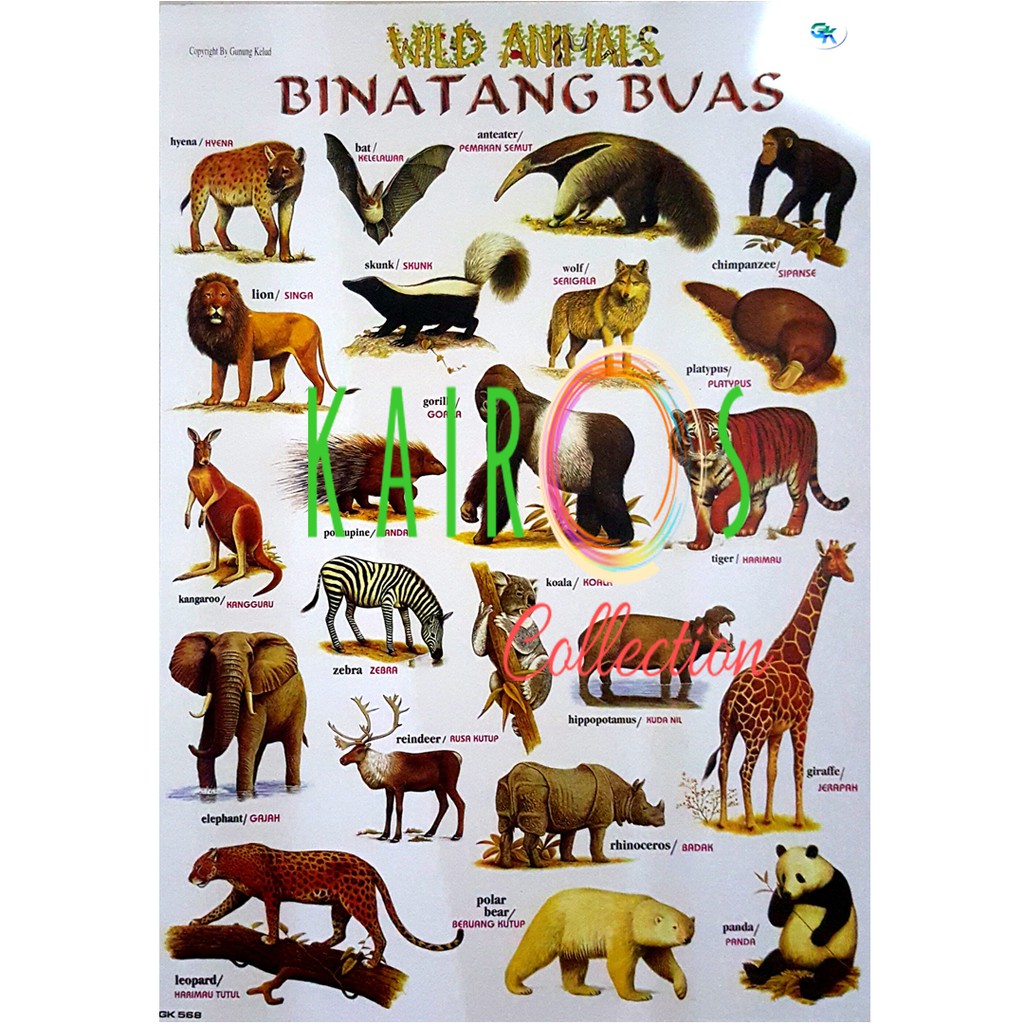 Jenis Binatang Buas - KibrisPDR