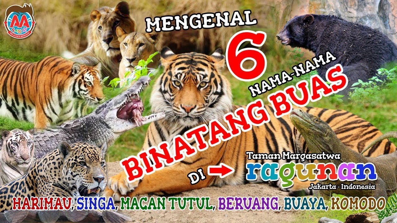 Download Jenis Binatang Buas Nomer 8