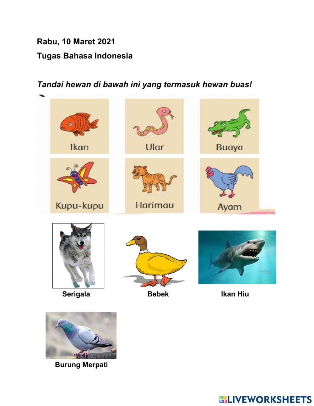 Detail Jenis Binatang Buas Di Indonesia Nomer 29