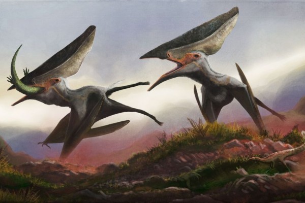 Detail Jenis Dinosaurus Terbang Nomer 29