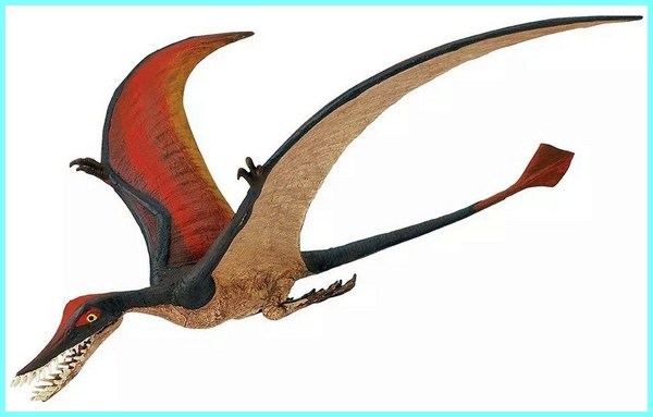 Detail Jenis Dinosaurus Terbang Nomer 34