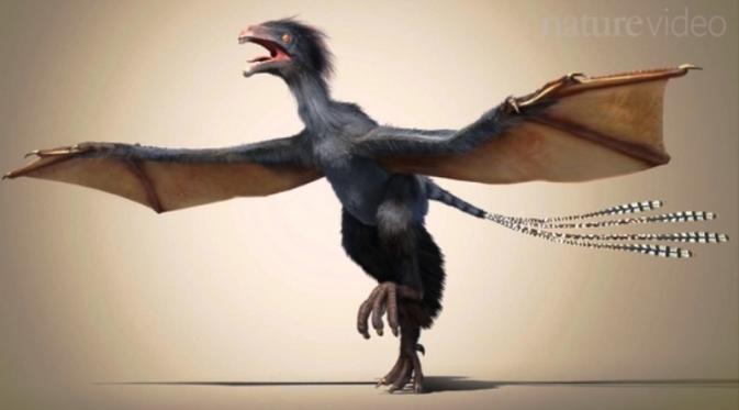 Detail Jenis Dinosaurus Terbang Nomer 41