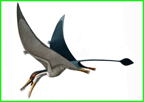 Detail Jenis Dinosaurus Terbang Nomer 10