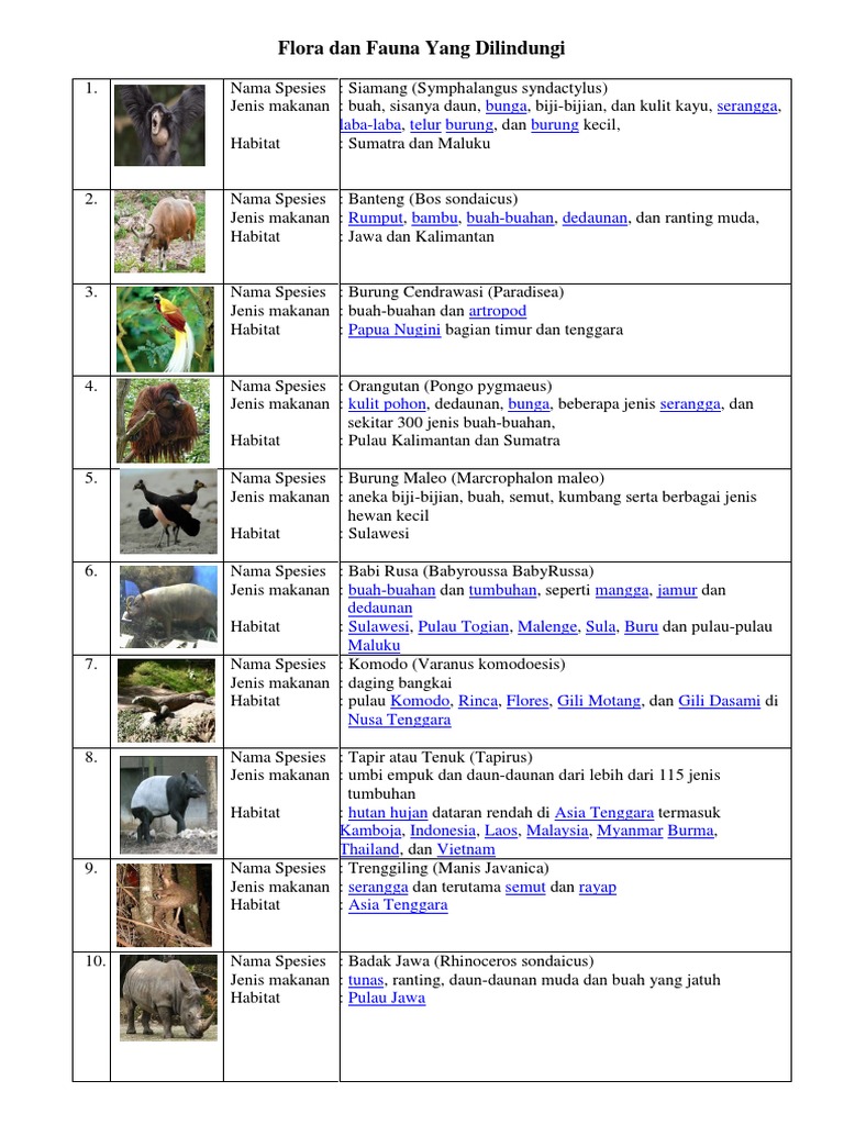 Download Jenis Gambar Flora Dan Fauna Nomer 17