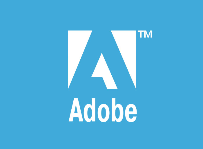 Detail Jenis Jenis Adobe Nomer 20