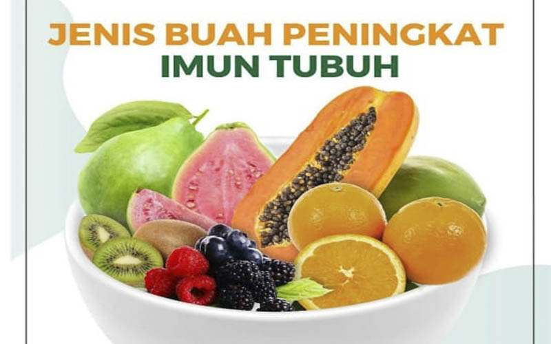 Detail Jenis Jenis Buah Buahan Nomer 48