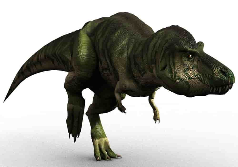 Detail Jenis Jenis Dinosaurus Dan Gambarnya Nomer 2
