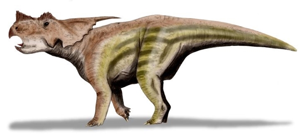 Detail Jenis Jenis Dinosaurus Dan Gambarnya Nomer 15