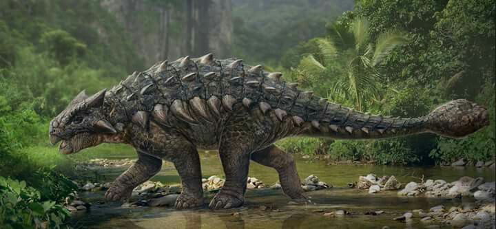 Detail Jenis Jenis Dinosaurus Dan Gambarnya Nomer 23