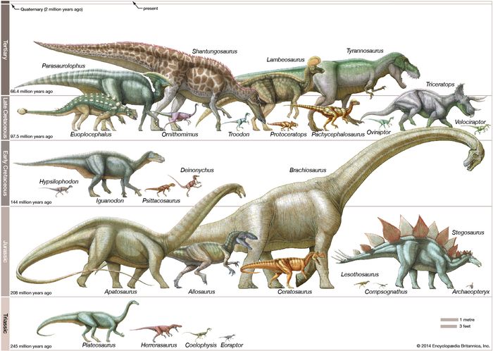 Detail Jenis Jenis Dinosaurus Dan Gambarnya Nomer 32