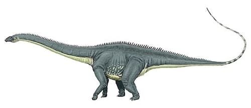 Detail Jenis Jenis Dinosaurus Dan Gambarnya Nomer 40