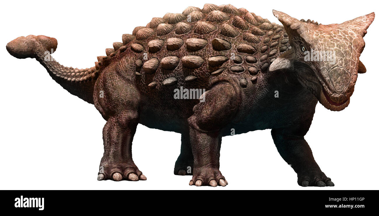 Detail Jenis Jenis Dinosaurus Dan Gambarnya Nomer 6