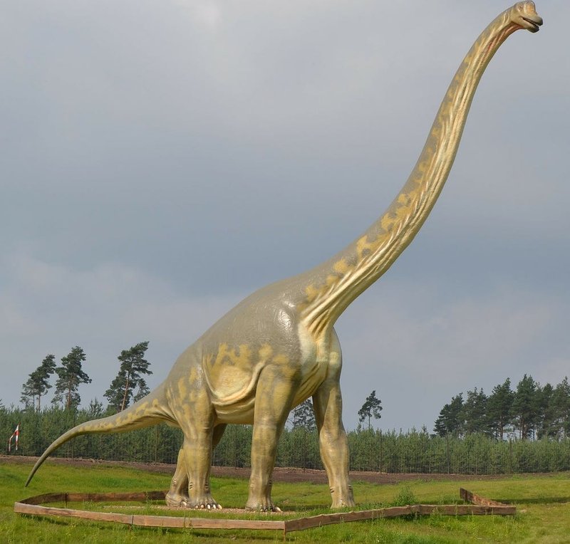 Detail Jenis Jenis Dinosaurus Dan Gambarnya Nomer 49