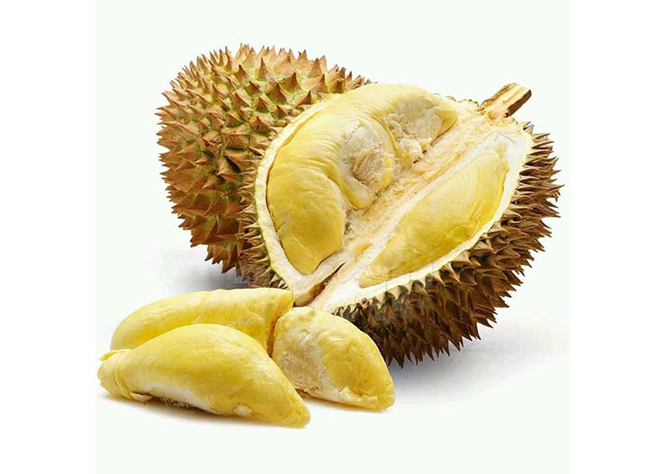 Detail Jenis Jenis Durian Dan Gambarnya Nomer 14