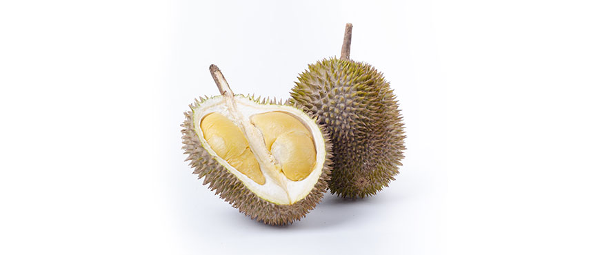 Detail Jenis Jenis Durian Dan Gambarnya Nomer 15