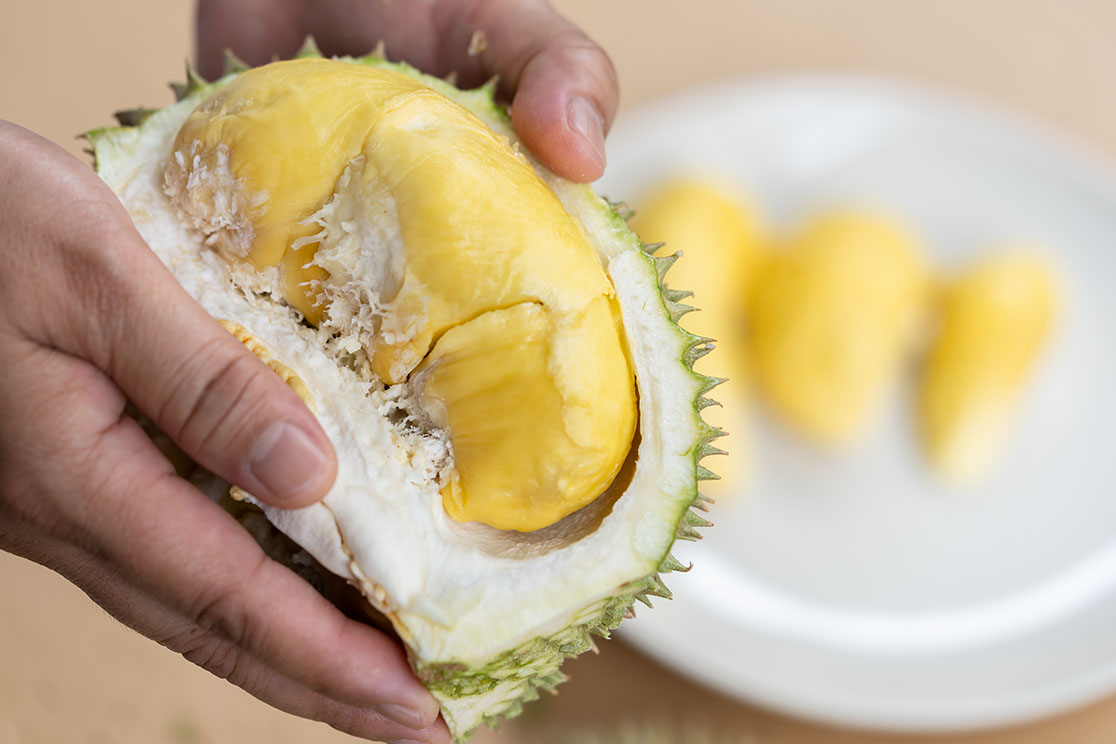 Detail Jenis Jenis Durian Dan Gambarnya Nomer 43