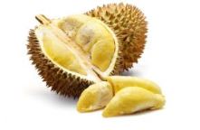 Detail Jenis Jenis Durian Dan Gambarnya Nomer 54