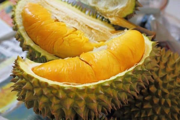 Detail Jenis Jenis Durian Dan Gambarnya Nomer 8