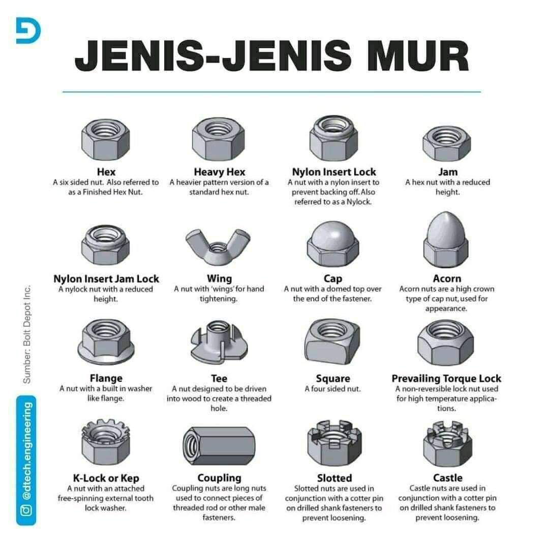 Detail Jenis Jenis Mur Dan Gambarnya Nomer 8