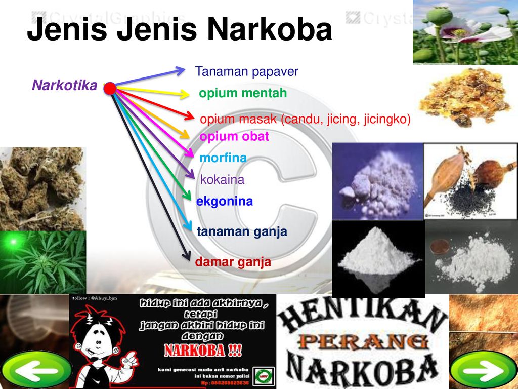 Detail Jenis Jenis Napza Berdasarkan Efek Gambar Nomer 52